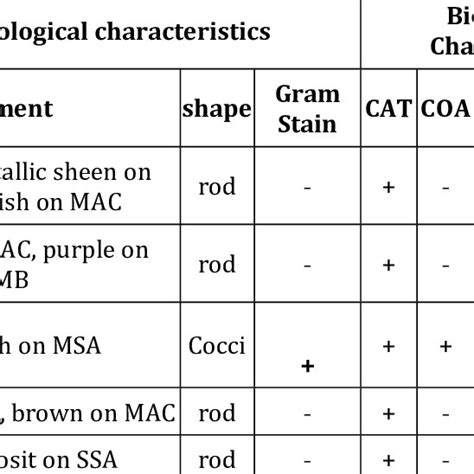 (PDF) Cultural and biochemical characteristics of .